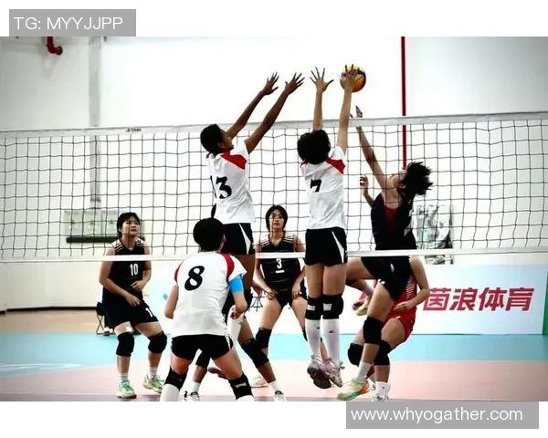 上海排球队在排球个人能力排行榜中荣登第九名引发热议