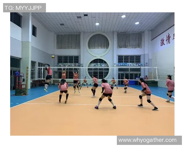 专业解读：深圳排球队的运营打法